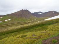 Berglandschaft an der Hrafnseyrarheiði Paßstraße